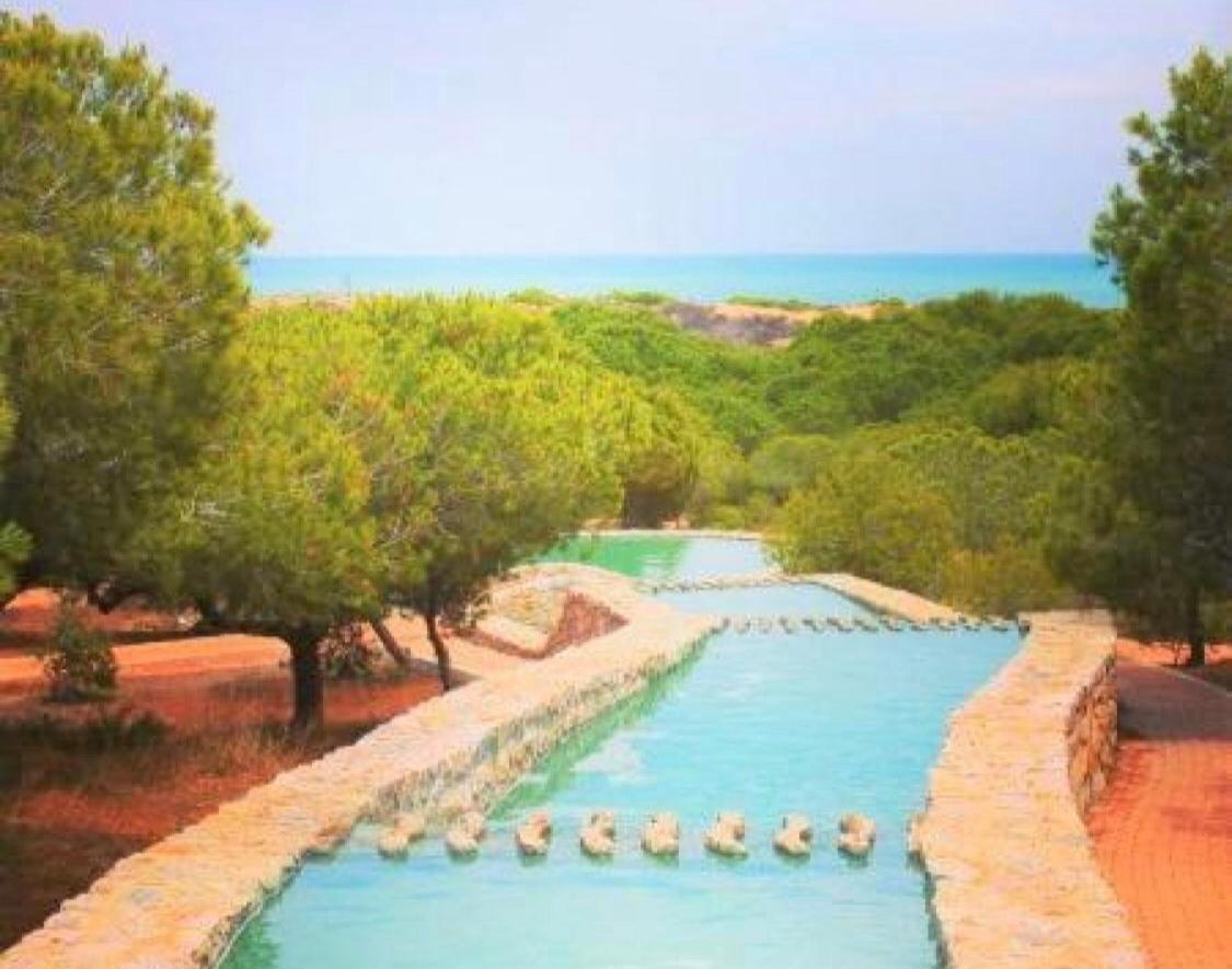 Apartment With Pool & Balcony Less Than 10Min Walk To La Mata Beach! Torrevieja Ngoại thất bức ảnh